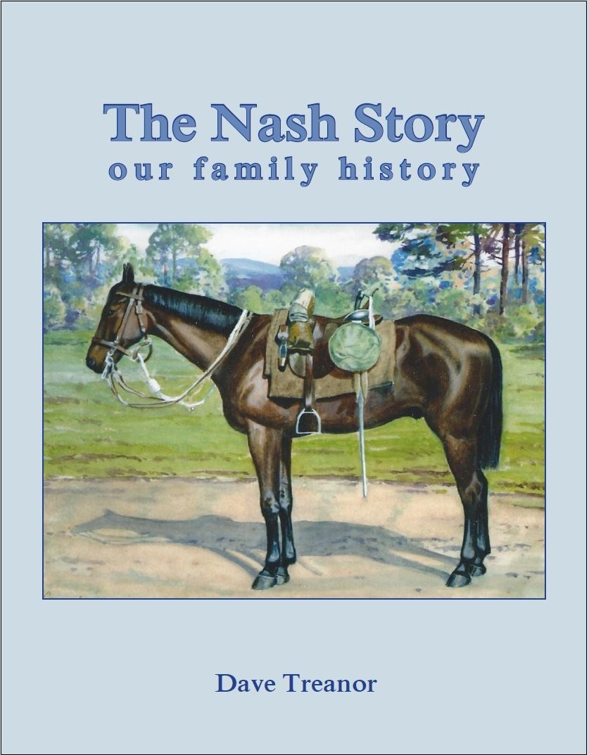Nash Story - preview